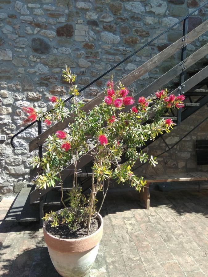 B&B La Luna Nel Pozzo โตดี ภายนอก รูปภาพ