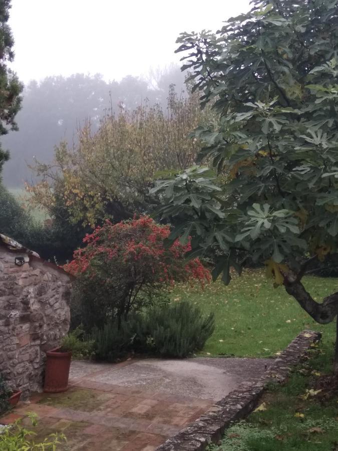 B&B La Luna Nel Pozzo โตดี ภายนอก รูปภาพ
